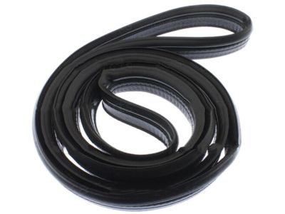 Nissan Versa Weather Strip - 84830-3BA0A