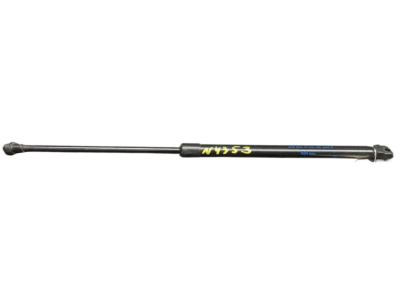 2020 Nissan Rogue Sport Lift Support - 90450-6MA0A