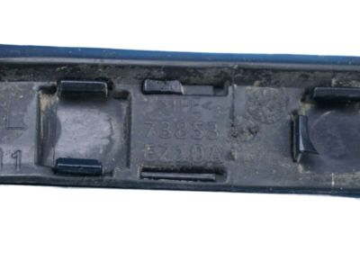 Nissan 73852-EZ10A Moulding-Roof Drip,RH