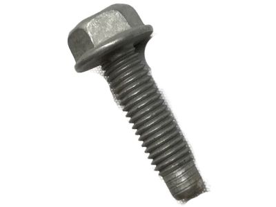 Nissan Belt Tensioner Bolt - 01125-N8141