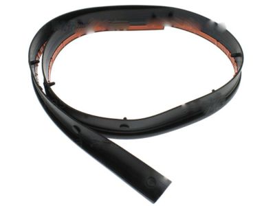 2017 Nissan GT-R Weather Strip - 65820-6AV0A