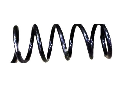 Nissan Coil Springs - 55020-3JA0C