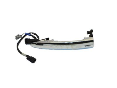 Nissan Leaf Door Handle - 80640-3NF1A