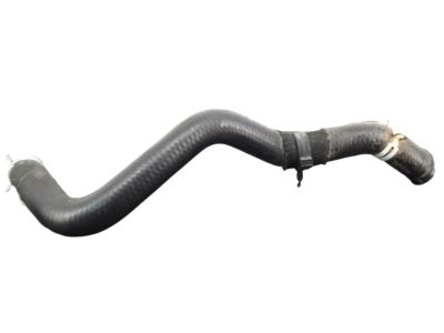 Nissan 21503-EA000 Hose-Radiator,Lower