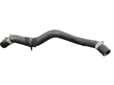 Nissan 21503-EA000 Hose-Radiator,Lower