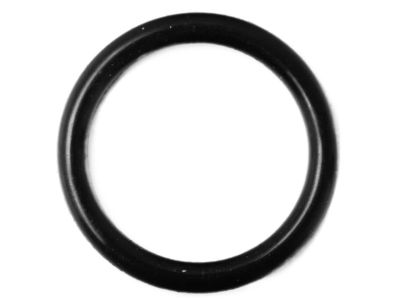 Nissan 92473-N8221 O-Ring