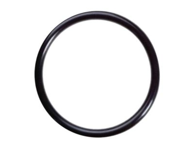 Nissan 300ZX Fuel Tank Lock Ring - 17342-01A00