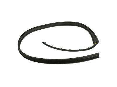 Nissan Quest Weather Strip - 76842-5Z002