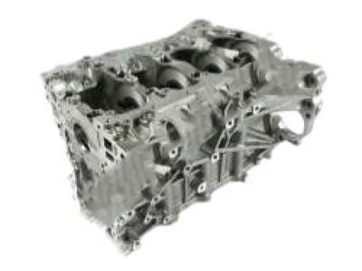 Nissan 11000-ZV00A Block Assy-Cylinder