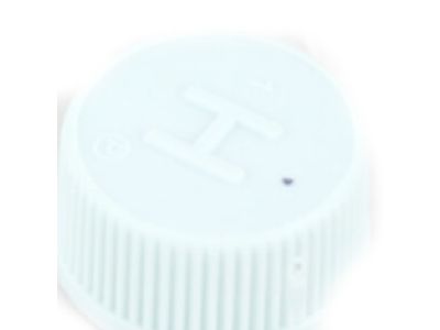 Nissan Leaf A/C Service Cap - 92499-2DX0A