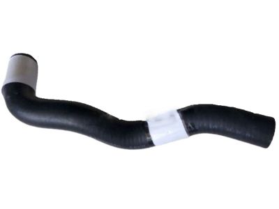 Nissan 21503-4Z710 Hose-Radiator,Lower