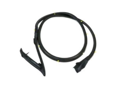 2007 Nissan Maxima Weather Strip - 80830-7Y000