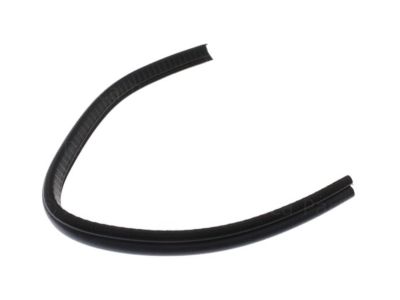 2006 Nissan Pathfinder Weather Strip - 82839-ZP50A