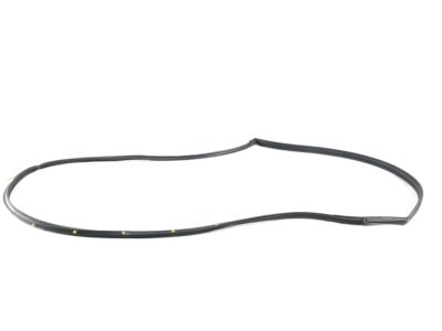 Nissan 80830-5AA0A Weatherstrip-Front Door,RH