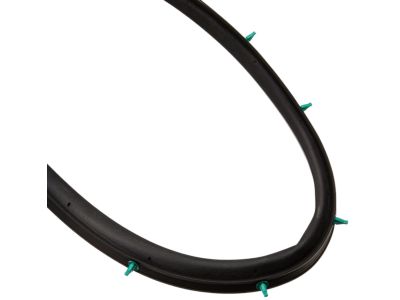 2012 Nissan Altima Weather Strip - 82831-JA000