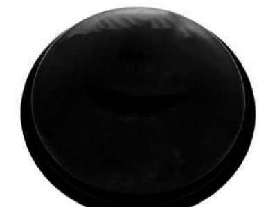 Nissan Sentra Wheel Bearing Dust Cap - 43234-4Z300