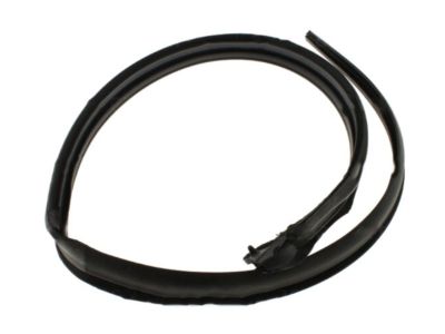 2001 Nissan Xterra Weather Strip - 76843-9Z000