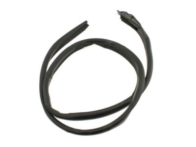 2001 Nissan Maxima Weather Strip - 76843-2Y010