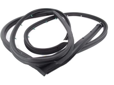 Nissan Murano Weather Strip - 90830-CA010