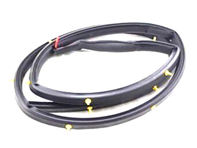 Nissan Titan Weather Strip - 80831-ZC00A