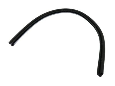 Nissan Xterra Weather Strip - 82839-ZL00A