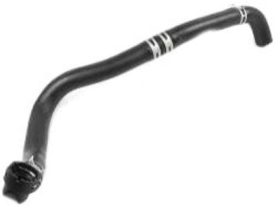 1986 Nissan Hardbody Pickup (D21) Cooling Hose - 14055-V5201