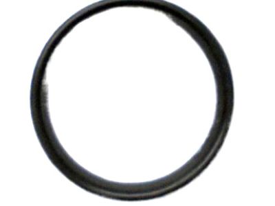 Nissan 21304-9N00A O-Ring