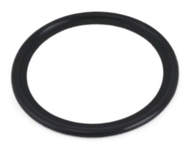 Nissan 21304-9N00A O-Ring