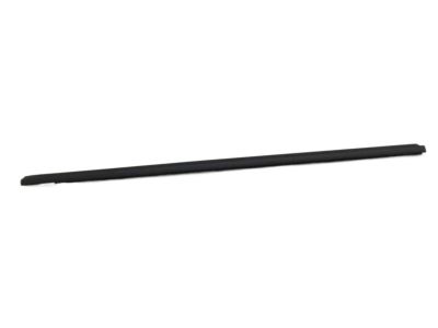 Nissan Maxima Weather Strip - 80820-9N00A