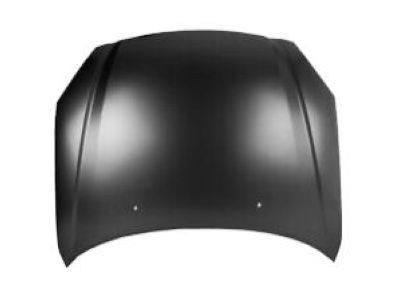 2009 Nissan Pathfinder Hood - F5100-ZS0MA