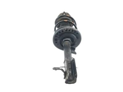 2009 Nissan Altima Shock Absorber - E4303-JA81B