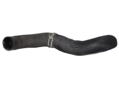 Nissan 21503-3JA0A Hose-Radiator,Lower