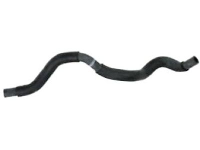 Nissan 18791-9BG0A Hose-Drain, CANISTER