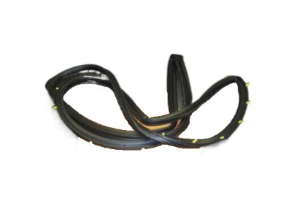 2004 Nissan Maxima Weather Strip - 82831-7Y000