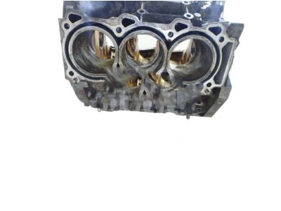 Nissan 10103-EA200 Engine Assy-Short