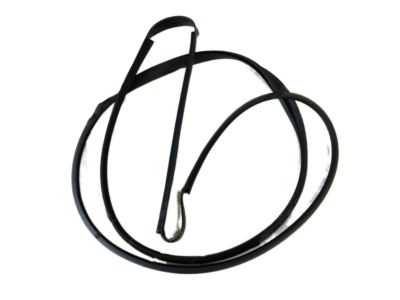 Nissan Van Weather Strip - 73872-01M05