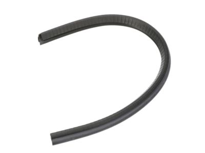 2008 Nissan Pathfinder Weather Strip - 82838-ZS50A