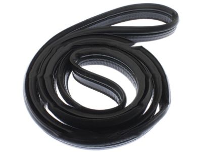 Nissan Versa Weather Strip - 84830-9KN0A