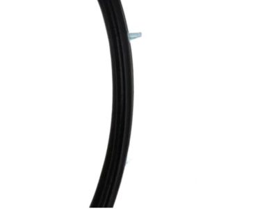 Nissan 80831-ET000 Weatherstrip-Front Door,LH