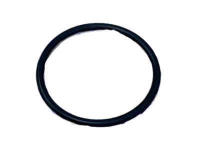 Nissan 17342-01L00 Ring-O Fuel