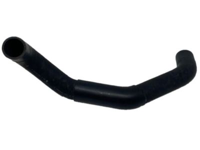 Nissan 21503-EV00A Hose-Radiator,Lower