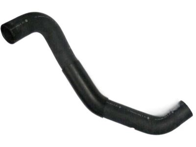 Nissan 21503-EV00A Hose-Radiator,Lower