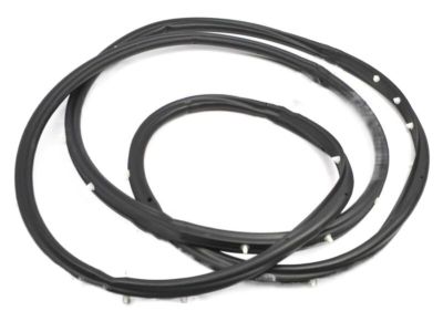 Nissan Juke Weather Strip - 91246-1LA1A