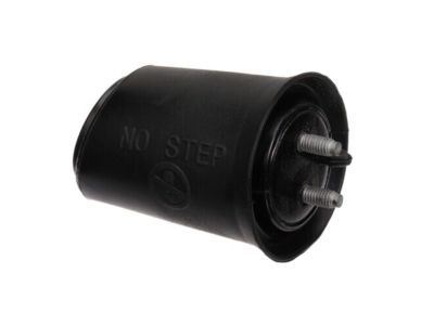 Nissan 908A0-1PA0A Stopper-Back Door,RH