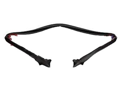 2004 Nissan 350Z Weather Strip - 97176-CE400