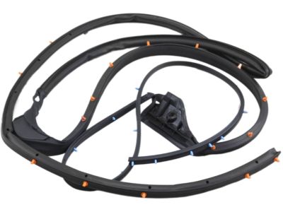 2009 Nissan Pathfinder Weather Strip - 82830-ZS30A