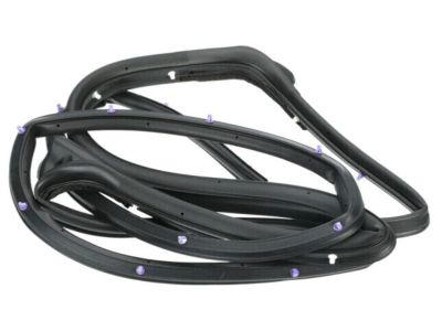 Nissan Versa Weather Strip - 82830-9KE1A