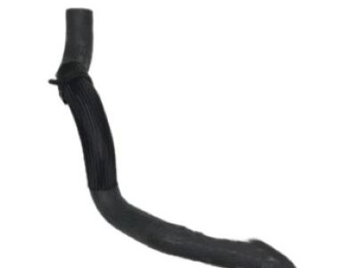 Nissan 21503-EA200 Hose-Radiator,Lower