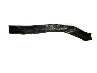 2007 Nissan Altima Weather Strip - 65820-JA001