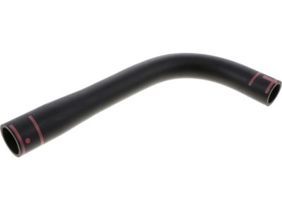 Nissan Frontier Fuel Filler Hose - 17228-EB005